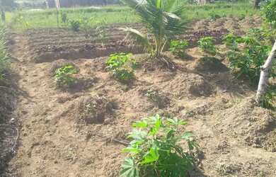 Imagem 5: Vendo um terreno