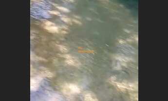 Imagem 3: Bairro: Centro Valor: R$ 380.000,00