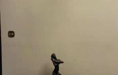 Imagem 6: Casa temporada Ribeirão Preto - Agrishow