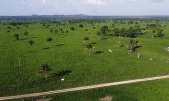 Imagem 3: Vendo fazenda de 415 alq em Ananás TO