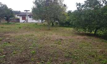 Imagem 5: Terreno à venda, 2017 m² por R$ 4.500.000 - Cachoeira do Bom Jesus - Florianópolis/SC