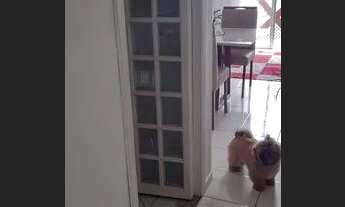 Imagem 7: Apartamento para venda com 54 metros quadrados com 2 quartos em Jardim Luiza - Jacareí - S