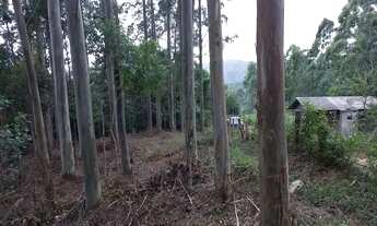 Imagem 6: Barbada -Sitio em Tijucas - Parcelamento direto