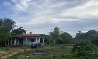 Imagem 4: Vendo chácara com duas casas e ponto de comercio