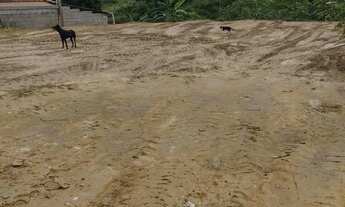 Imagem 4: Terreno Piaçu/Muniz Freire