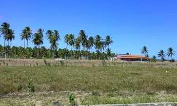 Imagem 4: VENDO TERRENO NO MIRANTE DE JEQUIÁ