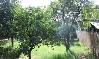 Imagem 4: SAPUCAIA DO SUL - Terreno Padrão - Pasqualini