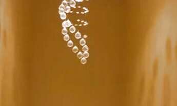 Imagem 3: Aluga-se casa no Japiin 2