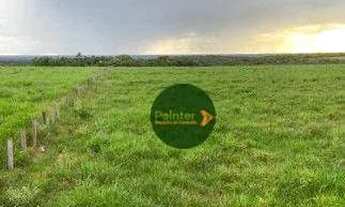 Imagem 4: Fazenda à venda, 12000000 m² por R$ 42.000.000 - Zona Rural - Alta Floresta/MT