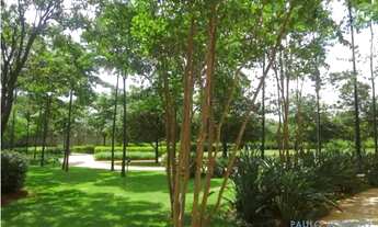 Imagem 3: APARTAMENTO - ALTO DE PINHEIROS - SP