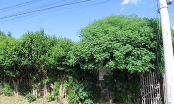 Imagem 7: SAPUCAIA DO SUL - Terreno Padrão - Pasqualini