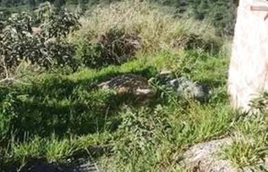 Imagem 2: Lote ocupação esperança