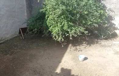 Imagem 2: Casa Térrea em Castolira - Pindamonhangaba