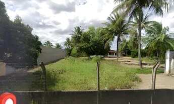 Imagem 6: Alugo-Para Comércio em Área Mais Valorizada da Avenida Artêmia Pires-Sim