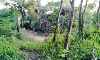 Imagem 4: Área com 3.500m² com vista e acesso ao mar