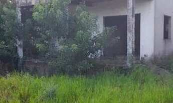 Imagem 3: Grande oportunidade