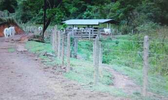 Imagem 6: FAZENDA QUELUZITO - 45 HECTARES - CASA - OTIMA TOPOGRAFIA
