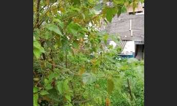 Imagem 5: Vender dinheiro avista