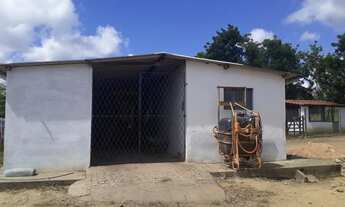 Imagem 5: Fazenda com 150 hectares em vera cruz estruturada