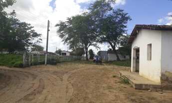Imagem 2: Fazenda para pessoa de bom gosto 480 hectares encantadora