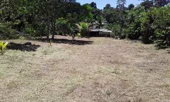 Imagem 6: Vendo ou troca um sitio por casa ém Manaus