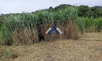 Imagem 3: Sítio à venda, 12,5 Alqueires por R$ 1.750.000 - Centro - Assaí/PR