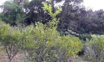 Imagem 5: VALE REAL - Casa Padrão - NÃO IDENTIFICADO