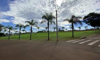 Imagem 2: Lote Alphaville comercial