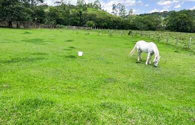 Imagem 5: LP - Vendo terreno próximo à cachoeira