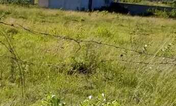 Imagem 6: Terreno cabo frio