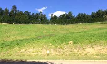 Imagem: Terreno-À VENDA-Fazenda Santo Antonio das