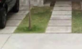 Imagem: Residencial Tales de Mileto / Casas Lineares