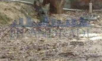 Imagem 6: Freguesia (Jacarepaguá