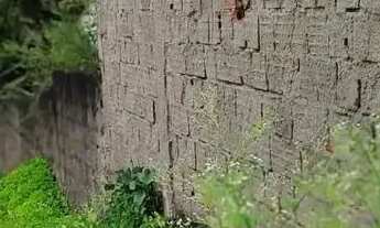 Imagem 6: Casa à venda em rua pública, CAPIBARIBE , São Lourenço da Mata, PE