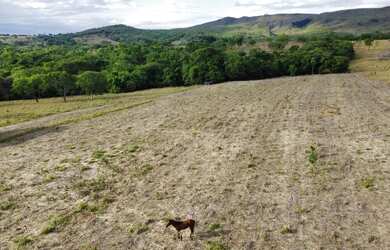 Imagem 4: Sitio 7 alqueires município de Rio Quente