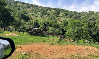 Imagem 6: Fazenda 379 alqueires 45.000 o alq