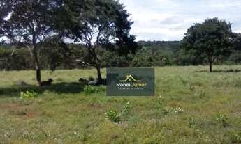 Imagem 6: Fazenda à venda por R$ 1.400.000 - 20 Km de Taquarussu - Palmas/TO