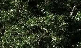 Imagem: Imóvel para venda tem 300 metros quadrados