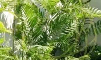 Imagem 3: Barra da Tijuca Casa em condomínio com 5 dormitórios