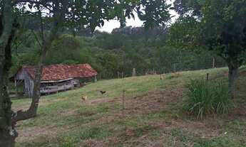 Imagem 6: CHÁCARA / ÁREA 5 HECTARES À VENDA EM TAQUARA - RS