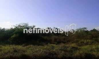 Imagem 2: Venda Lote-Área-Terreno Zona Rural Conceição da Feira