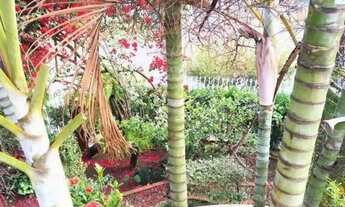 Imagem 6: CASA ASSOBRADADA - LAPA - SP