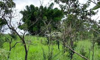 Imagem 4: Confira esta oportunidade imperdível de chácara disponível em Anápolis-GO! APENAS 14Km de