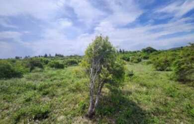 Imagem 5: Lote, Residencial, Santa Maria