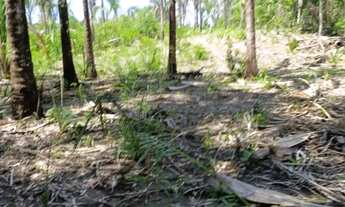 Imagem 2: Sítio 8 km de livramento 21hc