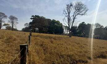 Imagem 2: Chácara px Anápolis