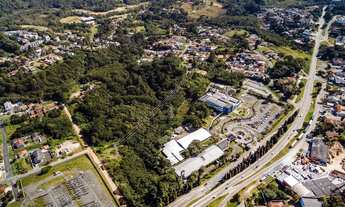 Imagem 7: Terreno no Abranches com 11.659 m²