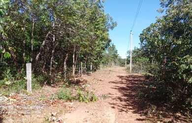 Imagem 7: LOTES SERRA DA MESA