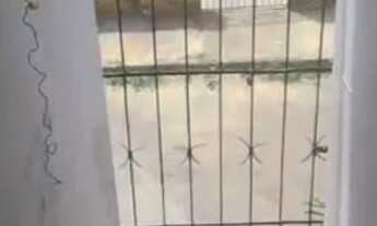 Imagem: Casa para alugar