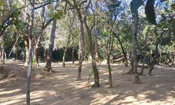 Imagem 7: Chácara no AgroVale de 2.3 Hectares Rio nos Fundos em Planaltina DF